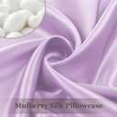 Adubor Mulberry Silk Pillowcase for Hair and Skin with Hidden Zipper, Both Side 22 Momme Silk, 900 Thread Count (20x30 inches, Queen Size, Light Purple, 1pc)