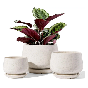 LE TAUCI Plant Pots, 4.1+5.1+6.5 inch, Set of 3, Ceramic Planters with Drainage Hole and Saucer, Indoor Flower Pot with Hole Mesh Pad, Gifts for Mom, Reactive Glaze Beige