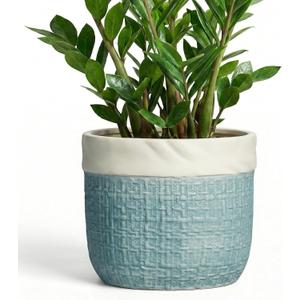 9.8 Inch Plant Pot - Ceramic Pots for Plants with Drainage Hole, Boho Plant Pots for Indoor Outdoor Plants, Decorative Round Planters, Porch Office Home Decor, Housewarming Gifts, Blue