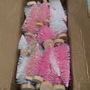30Pcs Mini Christmas Trees Artificial Christmas Tree Bottle Brush Trees with Wooden Base for Christmas Decor Christmas Party Home Table Craft Decorations (Pink+White)