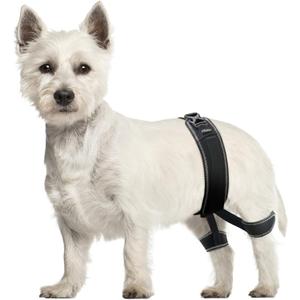 CHAMIN Dog Hip Brace  Support Harness for Hip Dysplasia, Joint Pain Relief, Prevents Hip Joint Issues, Orthopedic Support for Dogs(Small)
