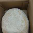 XXL Hide Keys Fake Rock Lock Box, Hide a Key Stone Look-Like Outdoor with 4-Digits Combination Lockbox, Spare Key Storage Box with Foam Protection for Home B&B, Rental, Office (Sandstone)