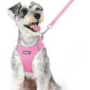 rabbitgoo Dog Harness and Leash Set, Step in Soft Light Puppy Vest, Breathable Mesh Pet Harness, Reflective for Safe Easy Walking, Light Pink XL