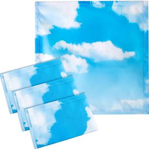 VIHOSE 4 Pcs 2 x 2 Feet Fluorescent Light Covers for Ceiling Lights Classroom Magnetic Light Filters for Reducing Harsh Glare Flicker for Office Classroom Home Drop Ceiling(Sky Cloud)