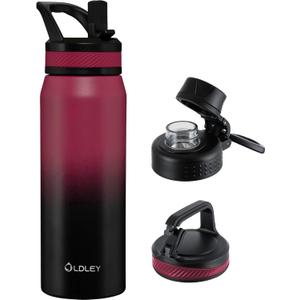 OLDLEY 24 oz Insulated Water Bottle With Straw, Stainless Steel Sports Water Cup Flask with 3 Lids(Straw, Spout and Handle Lid) Double Walled Travel Thermal Canteen Mug, Dark Rainbow