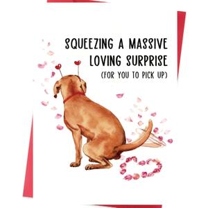 2 x Funny Valentines Day Card  Cute Dog Poop Pun Valentines Day Gifts for Him or Her  Hilarious Valentine Card for Boyfriend, Girlfriend, Husband, Wife, Men and Women (SK-040)