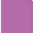 Astrobrights Mega Collection Colored Paper, 8  x 11, 24 lb/89 gsm, Bright Purple, 625 Ct. (91675) "Amazon Exclusive" - More Sheets!