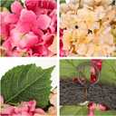 Briful 20'' Spring Hydrangea Wreath for Front Door, Colorful Artificial Floral Summer Wreaths for Home Farmhouse Indoor Windows Fireplace Mantle Decor