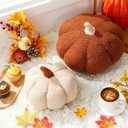 Queekay 2 Pcs Thanksgiving Pumpkin Pillow Pumpkin Decor for Friendsgiving Party Fall Home Thanksgiving Throw Pillow Cushion for Friends Holiday Operation Christmas Sofa Couch(White,Brown)