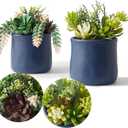 Artificial Succulent in Ceramic Pots, 2 Packs Large Faux Fake Plants Navy Blue for Desk,Office, Bedroom, Living Room, Bathroom Office Shelf Home Dcor