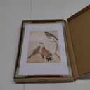 8x12 Picture Frame, Brass Metal Photo Frames with HD Glass, Fits 6x8 with Mat or 8 x 12 without Mat, Display for Wall and Table, 1 Pack
