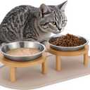 Elevated Cat Bowls with Food Mat,6.3 Inches Shallow Raised Bowls Whisker Friendly,2 Stainless Steel Cat Food and Water Dishes for Cats and Puppies,Dishwasher Safe