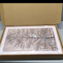 HOURIA Vintage Tree Sketch Framed Canvas Wall Art Set,Natural Brown and Gray Woodland Wall Decor,Mid Century Nature Forest Artwork,Textured Botanical Art Print for Living Room,Bedroom,Office, 16"x24"x3