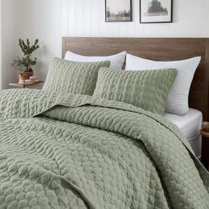 WDCOZY Sage Green Quilt Queen Size Bedding Sets with Pillow Shams, Lightweight Soft Bedspread Coverlet, Quilted Blanket Thin Comforter Bed Cover, All Season Spring Summer, 3 Pieces, 90x90 inches