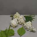 ZYTUYO 20 inches 4 Pcs Ivory White Real Touch Hydrangea Artificial Flowers Boho Lifelike Real Looking Latex Hydrangeas Flower with Long Stem for Home Decor Spring Table Centrepiece