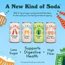 OLIPOP Prebiotic Soda Pop, Classic Soda Variety, Pantry Pack Packed with Prebiotics, Fiber, and Botanicals, Gluten Free, Vegan, GMO Free, 12oz (12-Cans)
