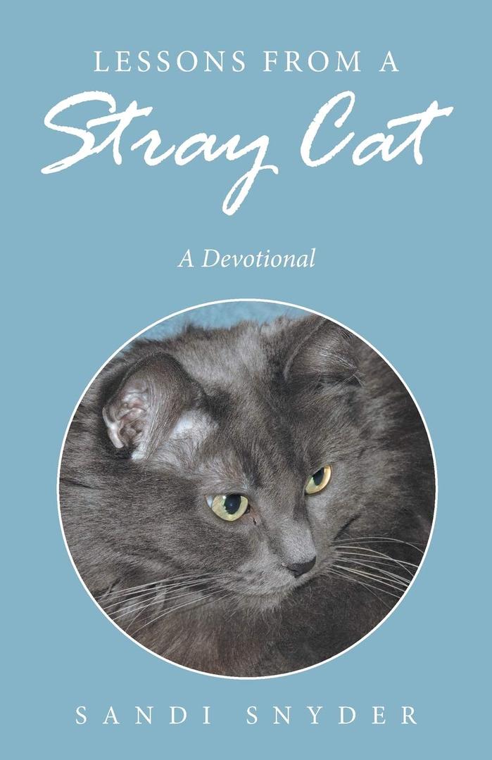 Lessons from a Stray Cat, Paperback