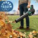 DEXSO Clearance Cordless Leaf Blower - 650 CFM / 200 MPH 2 Speed 21 V Lithium-ion 4.0Ah Battery and Charger Included, Lightweight Electric Leaf Blowers for Lawn, Yard Care, Leaves, Dust
