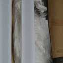 C-Shaped End Table,2 Tiers Round Side Table,Sofa Small Side Table for Living Room, Bedroom,Bedside Small Space,White