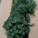 National Tree Company 7.5 ft Pre-Lit Downswept Douglas Fir Artificial Christmas Tree, 750 LED Lights, PowerConnect, Foot Pedal, 10 Light Functions, 1,867 Tips, Includes Stand, Green