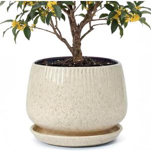 10.3 Inch Ceramic Planter with Saucer,Modern Garden Pots with Drainage Hole Mesh Net, for Indoor Outdoor Use (Silk White)