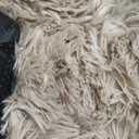 NEWBULIG 37.4x37.4 Inch Dog Bed Large Sized Dog, Donut Shape Cat Beds for Indoor Cats with Washable, Anti-Slip, Faux Fur (Brown)