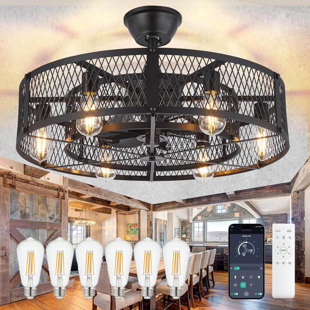 DLLT Caged Ceiling Fan with Lights: 26" Bladeless Fandelier with Light and Remote - Black Industrial Chandelier Fan Light for Bedroon Living Dining Room Kitchen