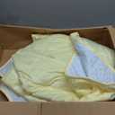 ALANSMA Reversible Weighted Blanket for All Season, Luxury Velvet, Warm and Cool, Adult 15Lb Yellow Weighted Blanket, Enjoy Sleeping Anywhere(Light Yellow,60"x80" 15lbs)