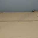 10 Panels Decorative Garden Fence with Gate - 32 in (H) x 23.6 ft (L) No Dig Dog Fence Outdoor for Yard, Rustproof Tall Garden Fencecing Panels, Animal Barrier Suitable for Yard Border, Patio