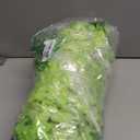 24 Pack Artificial Fake Wisteria Vine Ratta (3.75 Feet) Hanging Garland Silk Flowers String Home Party Wedding Decor (Green)