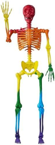 JOYIN 5.6 FT Halloween Posable Life Size Skeleton, Full Body Realistic Bones with Movable Joints, Rainbow Color Giant Skeletons for Halloween Decoration Outdoor, Haunted House Prop, Spooky Scene Party : Patio, Lawn & Garden