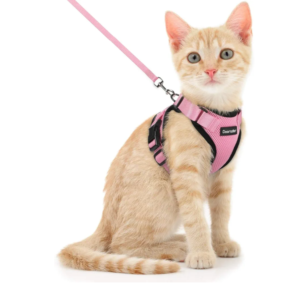 Dooradar Cat Harness and Leash Set, Escape Proof Safe Adjustable Kitten Vest Harnesses for Walking, Easy Control Soft Breathable Mesh Jacket with Reflective Strips for Cats, Pink, XS