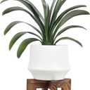 Plant Stand, Indoor/Outdoor Wood Plant Holder, Single Flower Pot Stand, Sturdy Planter Stand (Walnut, Fit 5-9 Inch Pots)