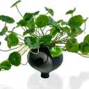 3pcs Small Fake Lotus Plants with Roofs and Leaves, Faux Greenery Stems for Vase for Home Office Farmhouse Indoor Outdoor Table Decor, Bathroom Shelf, Kitchen, Dining Room, Garden Decorations