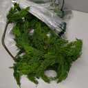 8.86FT Real Touch Cedar Garland, Christmas Artificial Cedar Garland, Artificial Cypress Leaf Vine Wreath for Mantle/Table/Stairs/Outdoor Indoor Christmas Decorations. (1PCS)