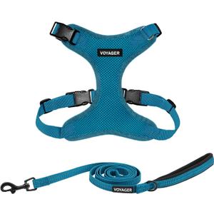 Best Pet Supplies Voyager Step-in Lock Pet Harness w Reflective Pet Leash Combo Set with Neoprene Handle 5ft - Supports Small, Medium and Large Breed Puppies/Cats - Turquoise Set, XS