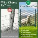 Metal Fence Posts for Wire Fencing,Heavy Duty U Post 4 FT Green | 10 Packs Rustproof Powder-Coated Steel Fence Stakes, No-Dig Fence Posts for Farm, Orchard, Yard & Temporary Fencing