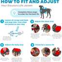 Outward Hound Dawson Swim Red Dog Life Jacket, XL