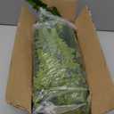 Large Artificial Ferns for Outdoor 48 Fronds Fake Boston Fern Faux Ferns Plant Silk Greenery for Indoors Home Garden Porch Windowsill Decor (1 Stem) 47"