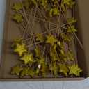 Suzile 60 Pcs Golden Star Floral Picks 8'' Glitter Table Centerpiece Decor Foam Stem Sticks for Wreath Crafts Wedding Bridal Moon Star Baby Shower Birthday Arrangement
