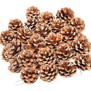 24PCS Christmas Natural Pine Cones,Rustic Pinecones with String for Crafts & Decorating Winter Xmax Holidays Vase and Table Bowl Fillers(Dia. 1.57-1.96 Inches) (White)