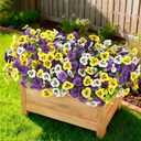 2 x INQCMY Artificial Fake Pansy Flowers for Outdoor, 12 Pcs Faux Silk Pansies Spring Summer Flowers for Outside for Planter Pot Porch Yard Patio Front Door Window Box Home Decor