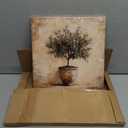 Olive Tree in Vessel Rustic Canvas Wall Art Neutral Botanical Wall Decor Pictures Antique Vintage Potted Plant Poster Prints for Farmhouse Kitchen Dining Room Home Decoration 12x12in Ready to Hang