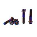 Rison Titanium Flanged Hex Head Bolt M10x1.25x25mm 6AL4V Aerospace Grade Ti Burnt Blue for Motorcycle Car Modification - Pack of 5 (Black)