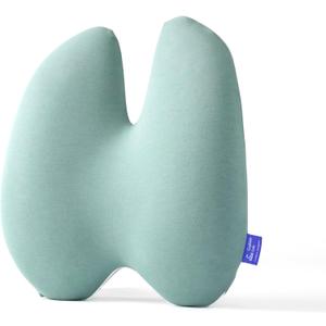 C CUSHION LAB Extra Dense Lumbar Pillow - Patented Ergonomic Multi-Region Firm Back Support for Lower Back Pain Relief - Lumbar Support Cushion with Strap for Office Chair, Car, Sofa - Wellness Green