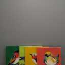 Colorful Eclectic Bird Wall Art, Maximalist Wall Decor Aesthetic for Bedroom, Funky Bird Canvas Art Prints, Dopamine Wall Decorations, Colorful Artwork Posters for Living Room 12"X12"X4 Panels