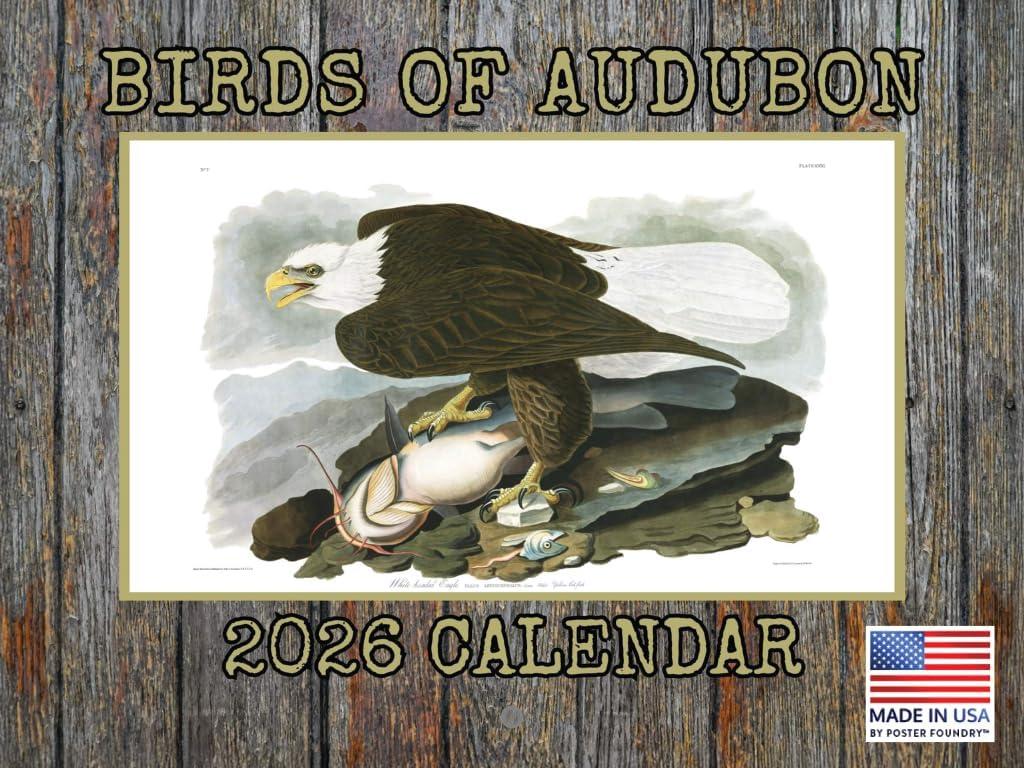 John James Audubon Bird Calendar 2026 Monthly Wall Calender 12 Month | American Made In The USA