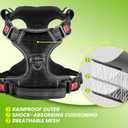 No Pull Dog Harness for Large Dogs, 4 Secure Quick-Release Buckles & 2 Metal Leash Clips, Soft Control Handle, No-Choke Fit for Walking, Training & Everyday Use, Black, L