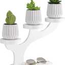 Bamboo Tabletop Plant Stand Indoor, 3 Tier Wood Desktop Small Plant Shelf Window Sill Flower Holder Mini Tiered Plant Display Rack for Patio Balcony Living Room Decor (White)