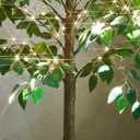 LITBLOOM Lighted Ficus Tree 6FT 264 LED Fairy Lights, Artificial Greenery Tree with Lights for Home Fireplace Living Room Decoration Inside